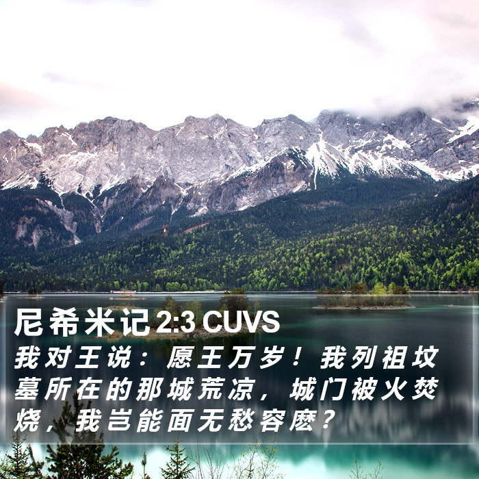 尼 希 米 记 2:3 CUVS Bible Study