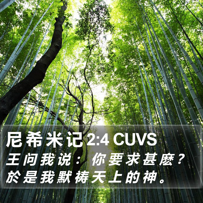 尼 希 米 记 2:4 CUVS Bible Study