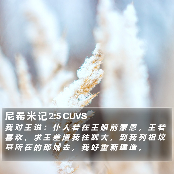 尼 希 米 记 2:5 CUVS Bible Study