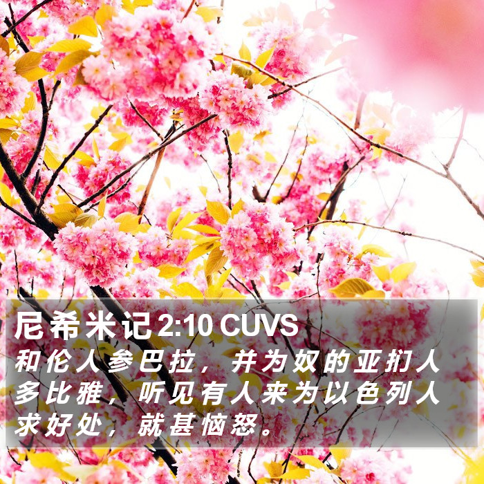 尼 希 米 记 2:10 CUVS Bible Study