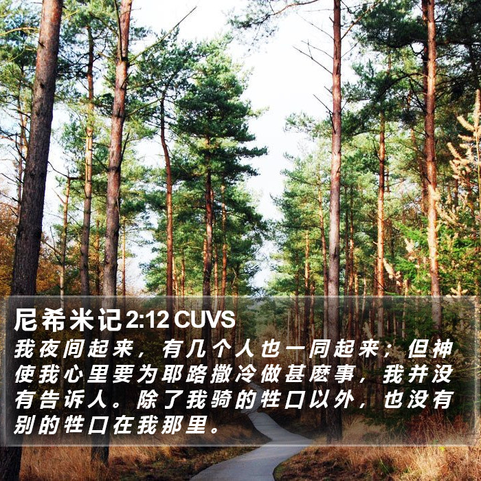 尼 希 米 记 2:12 CUVS Bible Study