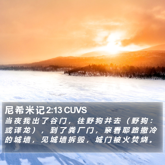 尼 希 米 记 2:13 CUVS Bible Study