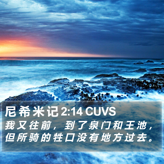 尼 希 米 记 2:14 CUVS Bible Study