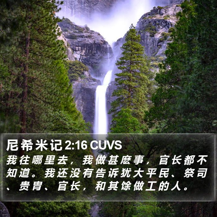 尼 希 米 记 2:16 CUVS Bible Study