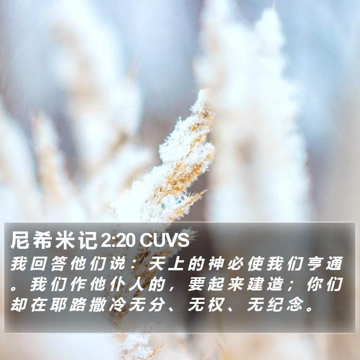 尼 希 米 记 2:20 CUVS Bible Study