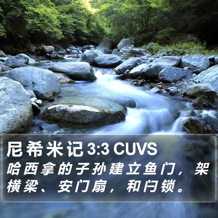 尼 希 米 记 3:3 CUVS Bible Study