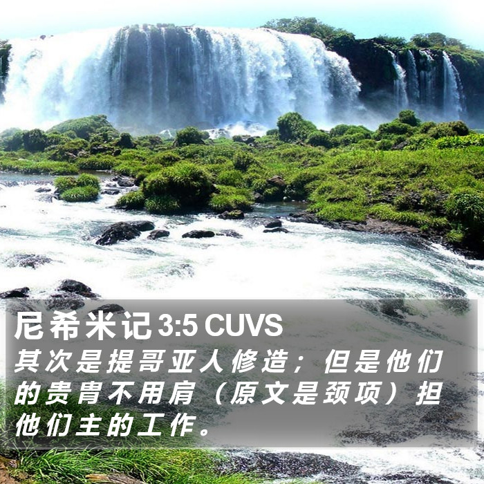 尼 希 米 记 3:5 CUVS Bible Study