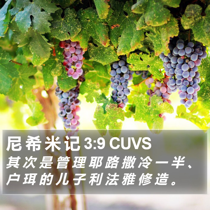 尼 希 米 记 3:9 CUVS Bible Study