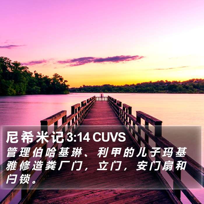 尼 希 米 记 3:14 CUVS Bible Study
