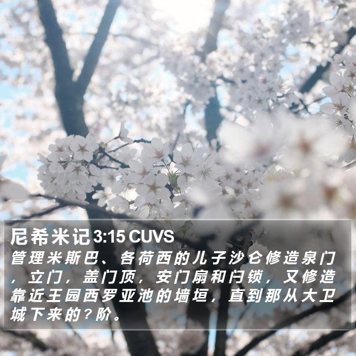 尼 希 米 记 3:15 CUVS Bible Study