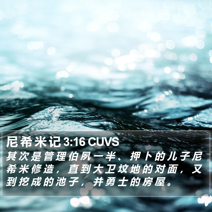 尼 希 米 记 3:16 CUVS Bible Study