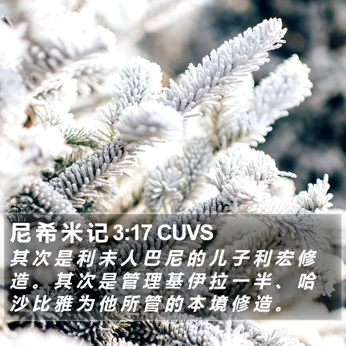 尼 希 米 记 3:17 CUVS Bible Study