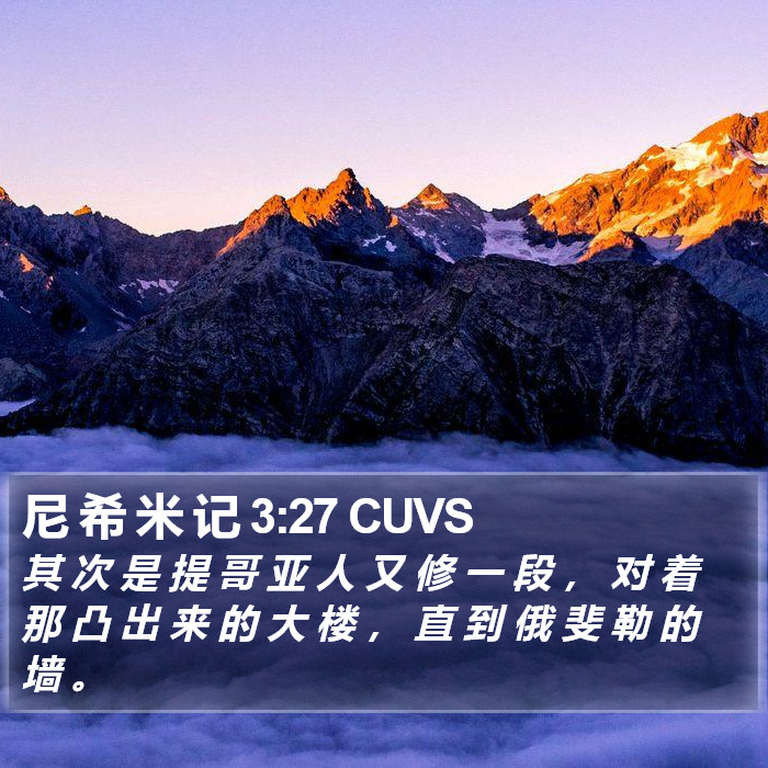 尼 希 米 记 3:27 CUVS Bible Study
