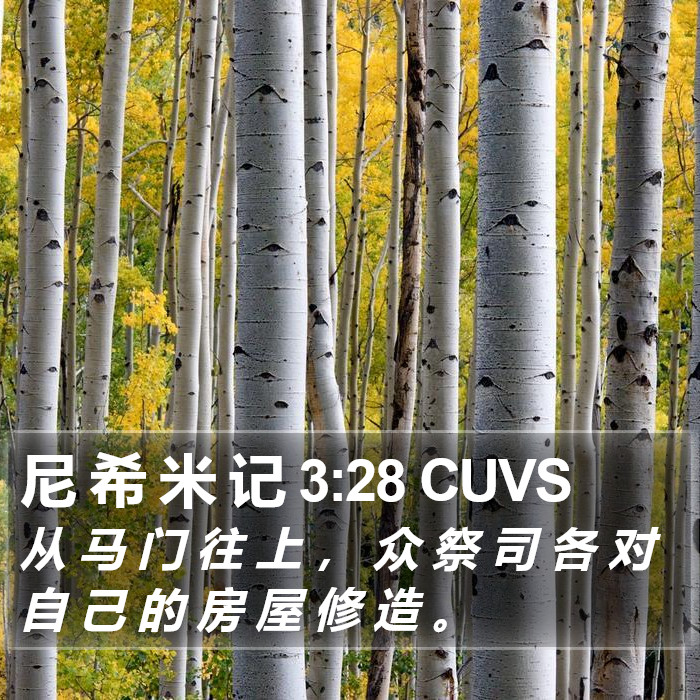 尼 希 米 记 3:28 CUVS Bible Study