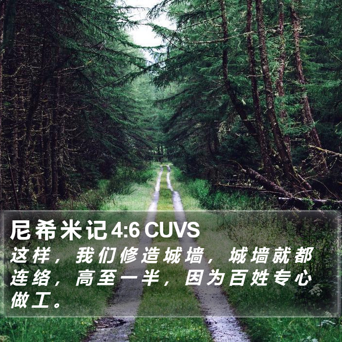 尼 希 米 记 4:6 CUVS Bible Study