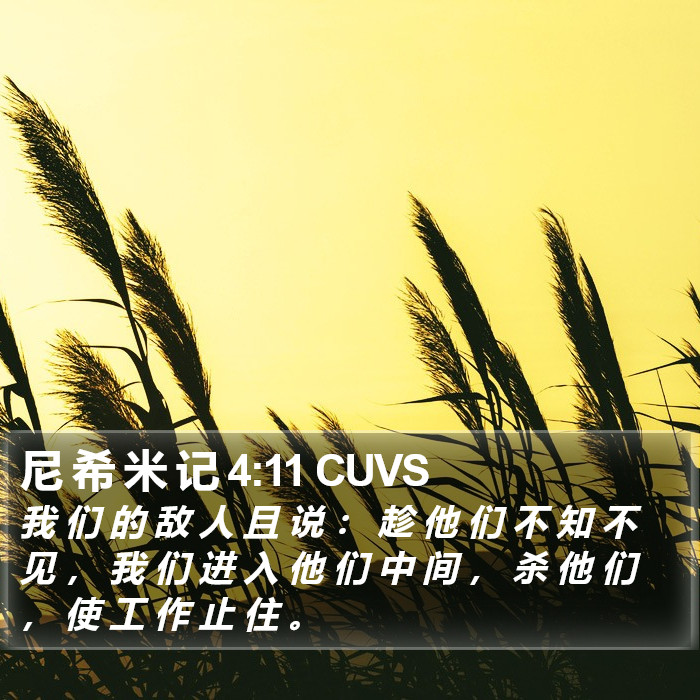 尼 希 米 记 4:11 CUVS Bible Study