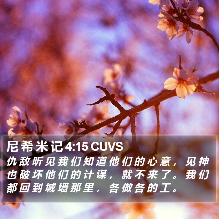 尼 希 米 记 4:15 CUVS Bible Study