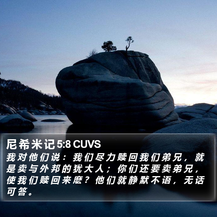 尼 希 米 记 5:8 CUVS Bible Study