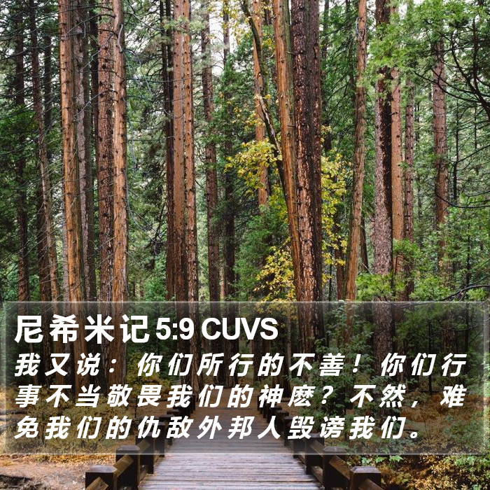 尼 希 米 记 5:9 CUVS Bible Study