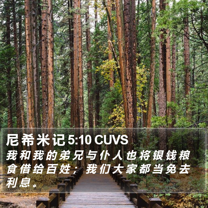 尼 希 米 记 5:10 CUVS Bible Study