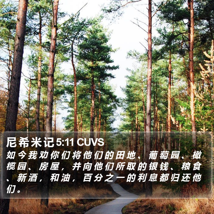 尼 希 米 记 5:11 CUVS Bible Study