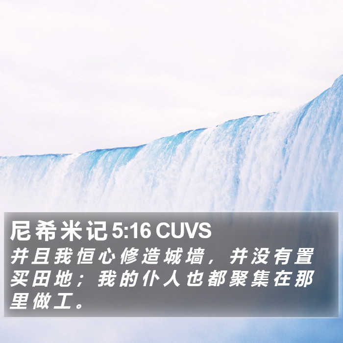 尼 希 米 记 5:16 CUVS Bible Study