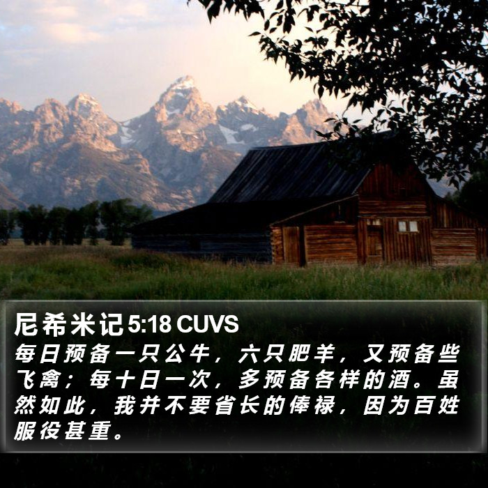 尼 希 米 记 5:18 CUVS Bible Study