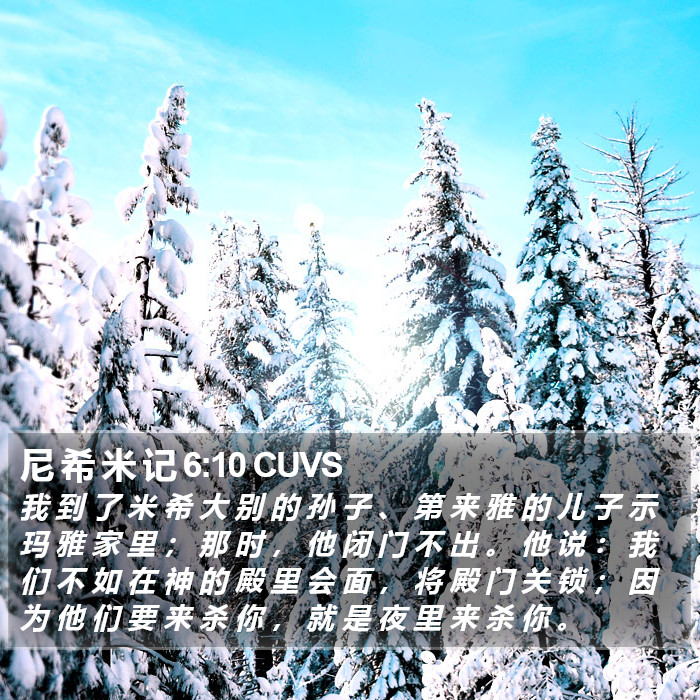 尼 希 米 记 6:10 CUVS Bible Study