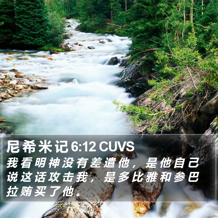 尼 希 米 记 6:12 CUVS Bible Study