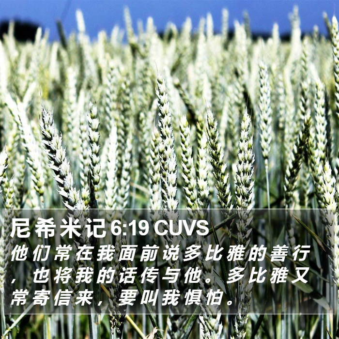 尼 希 米 记 6:19 CUVS Bible Study