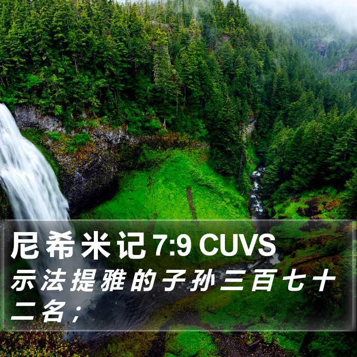 尼 希 米 记 7:9 CUVS Bible Study
