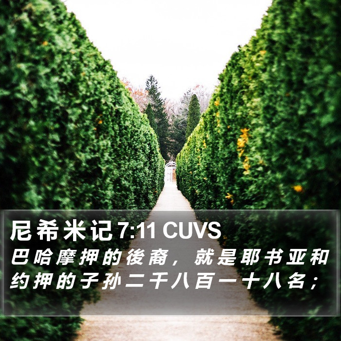 尼 希 米 记 7:11 CUVS Bible Study