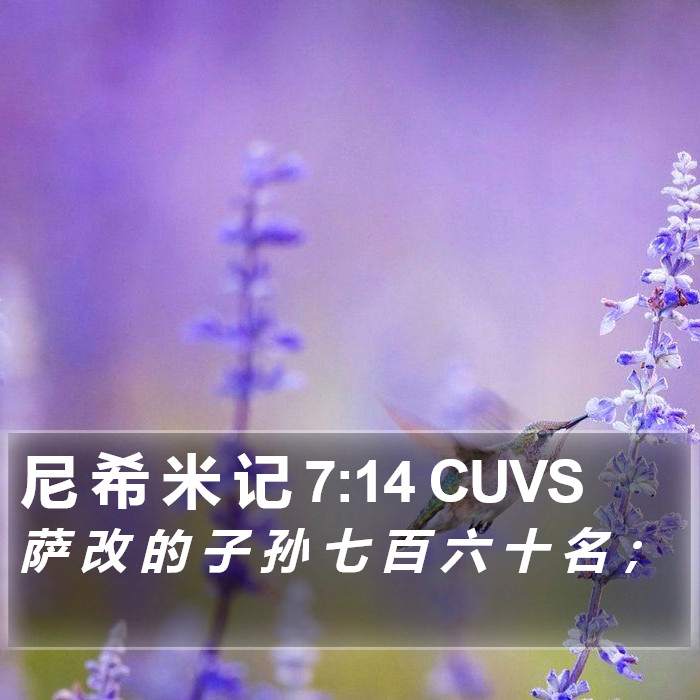 尼 希 米 记 7:14 CUVS Bible Study