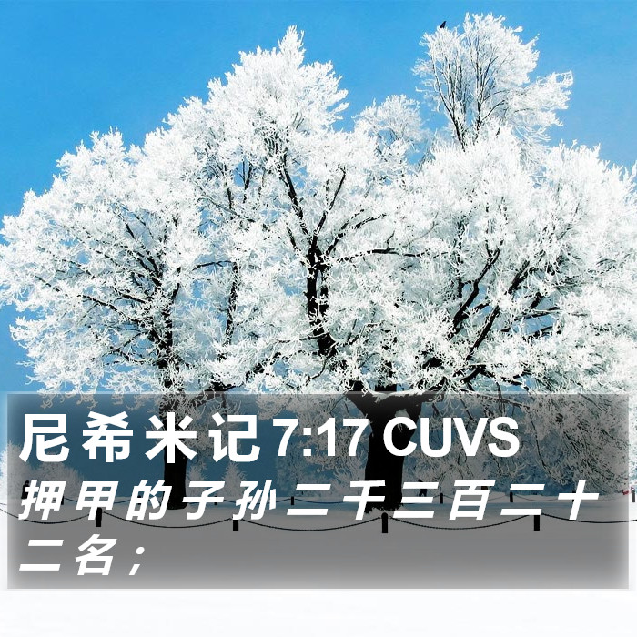尼 希 米 记 7:17 CUVS Bible Study