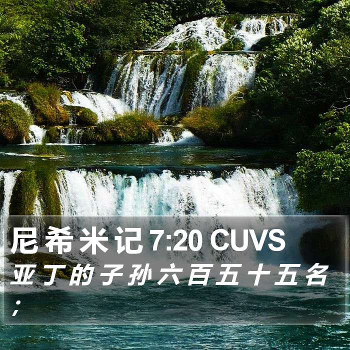 尼 希 米 记 7:20 CUVS Bible Study
