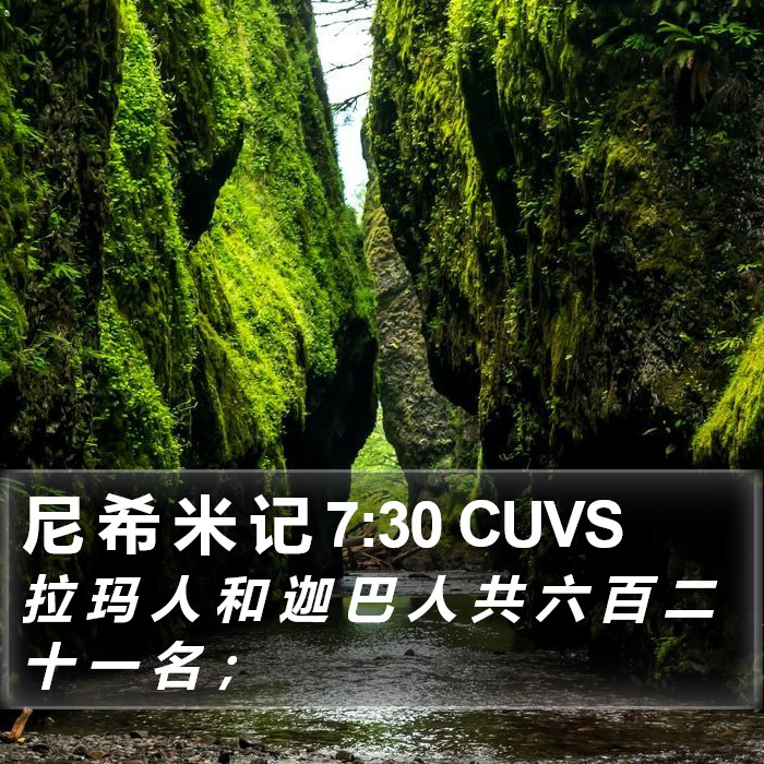 尼 希 米 记 7:30 CUVS Bible Study