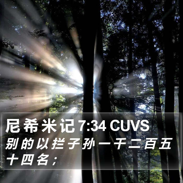 尼 希 米 记 7:34 CUVS Bible Study