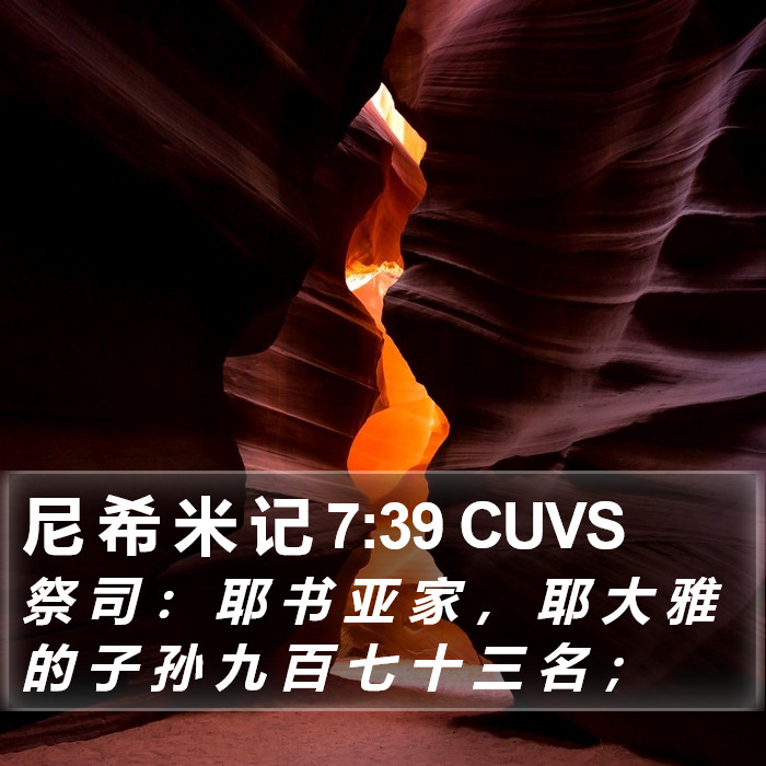 尼 希 米 记 7:39 CUVS Bible Study