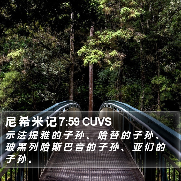 尼 希 米 记 7:59 CUVS Bible Study