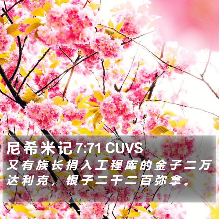 尼 希 米 记 7:71 CUVS Bible Study
