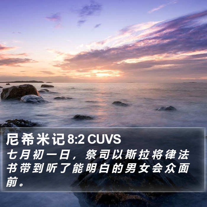 尼 希 米 记 8:2 CUVS Bible Study