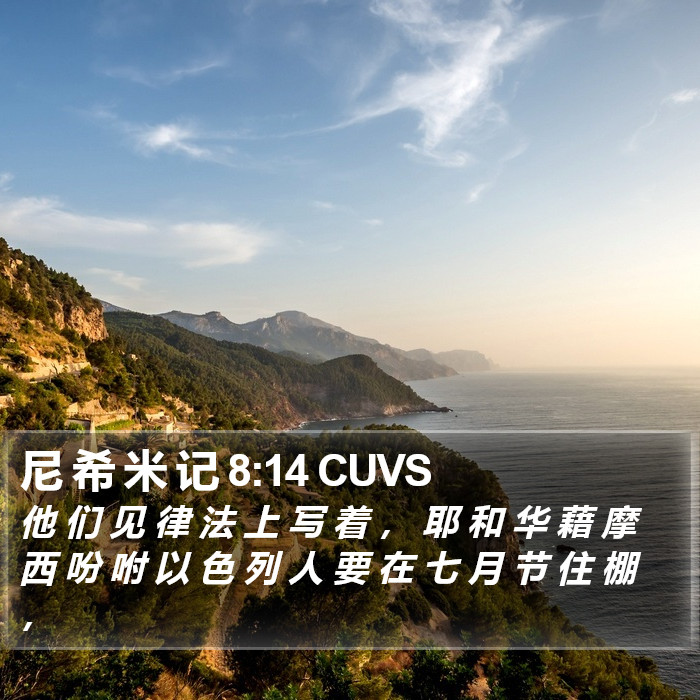 尼 希 米 记 8:14 CUVS Bible Study