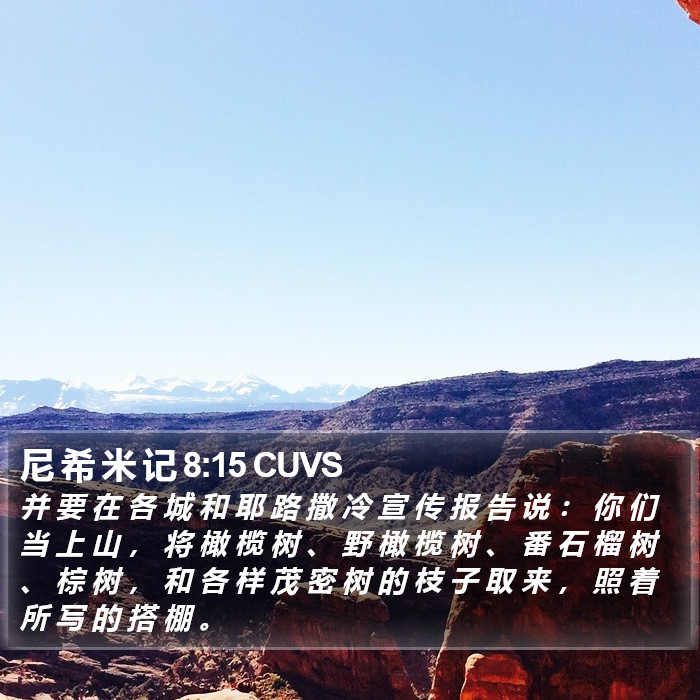 尼 希 米 记 8:15 CUVS Bible Study