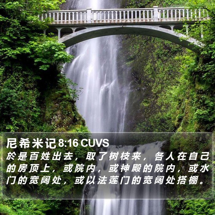 尼 希 米 记 8:16 CUVS Bible Study