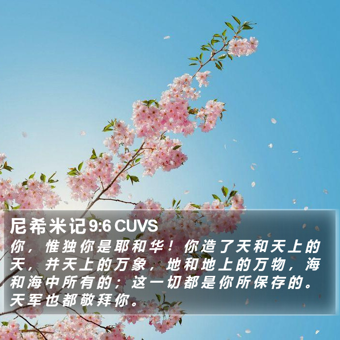 尼 希 米 记 9:6 CUVS Bible Study