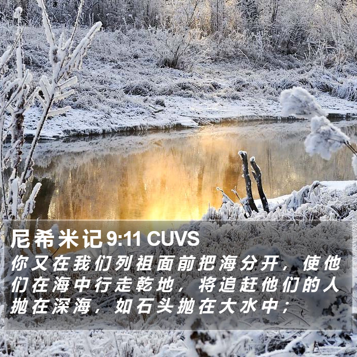 尼 希 米 记 9:11 CUVS Bible Study