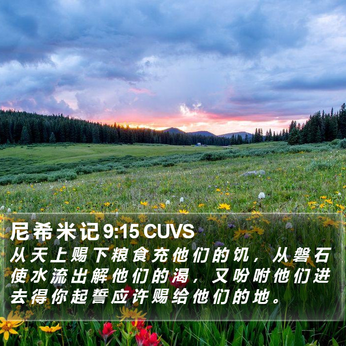 尼 希 米 记 9:15 CUVS Bible Study