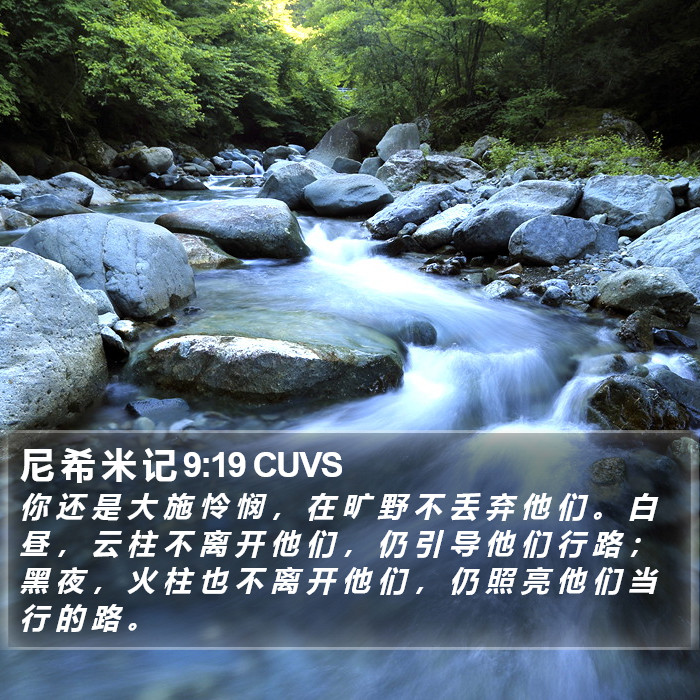 尼 希 米 记 9:19 CUVS Bible Study