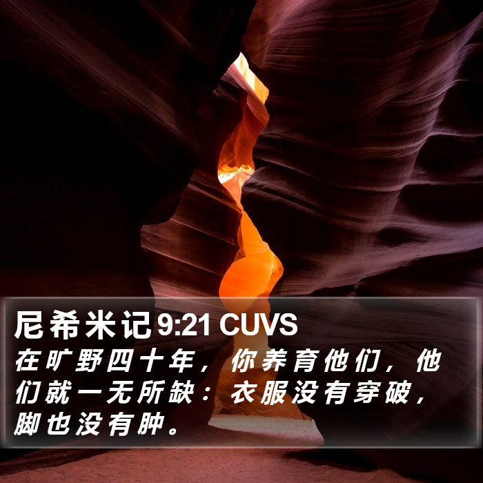 尼 希 米 记 9:21 CUVS Bible Study