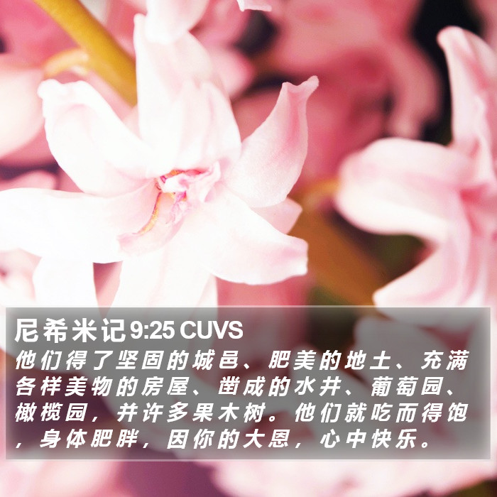 尼 希 米 记 9:25 CUVS Bible Study